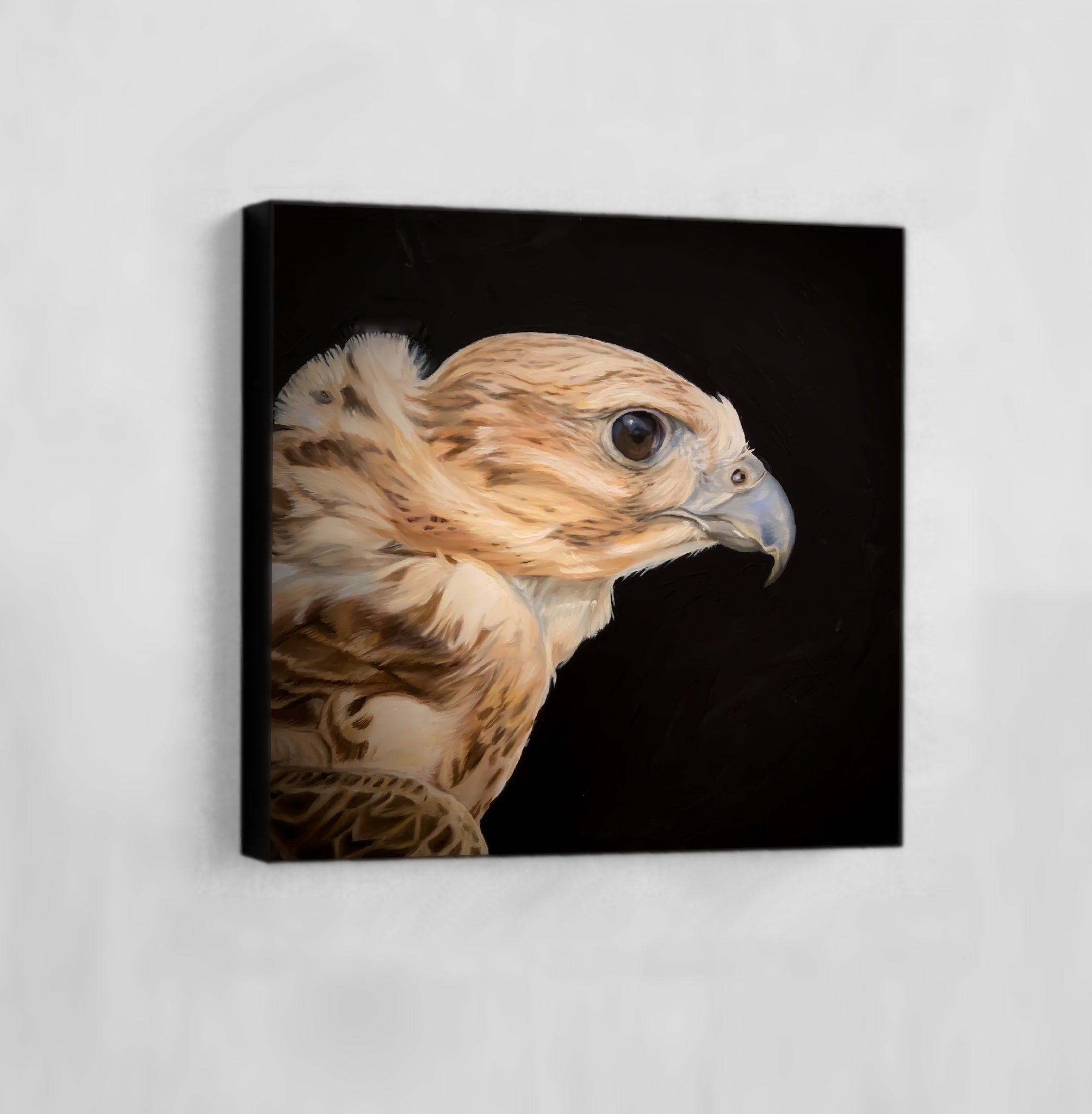 Falcon