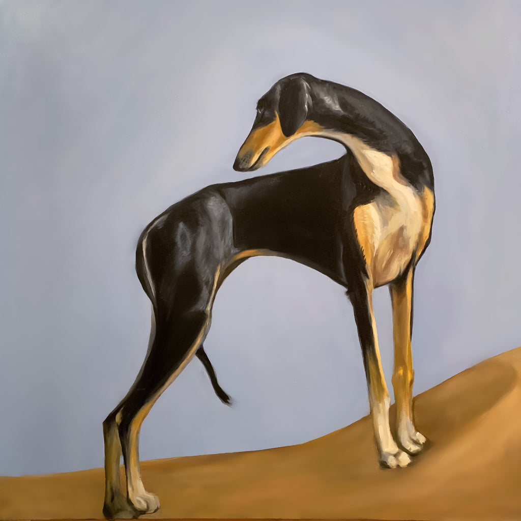 Sloughi black