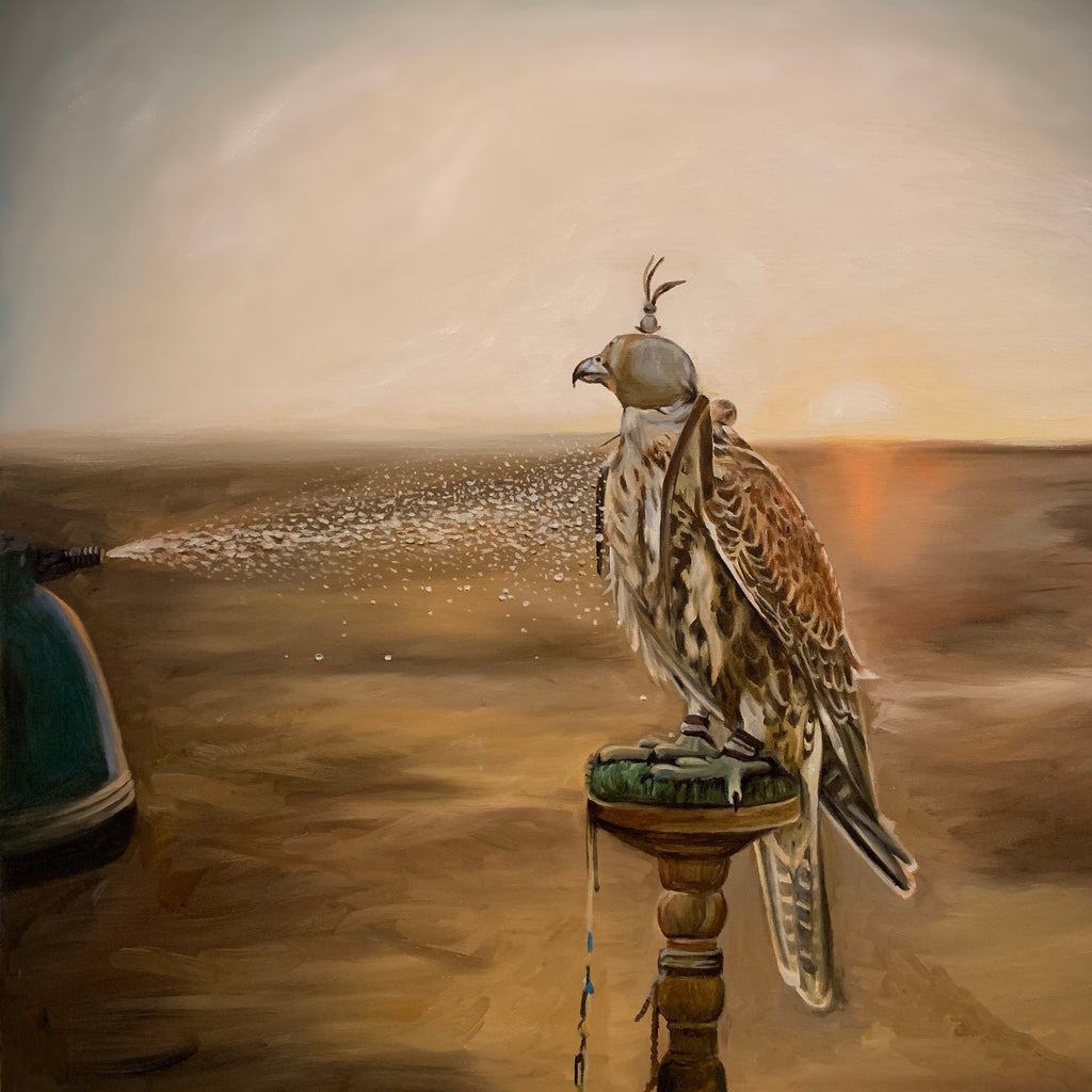 Watering the falcon