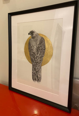 Falcon with gold