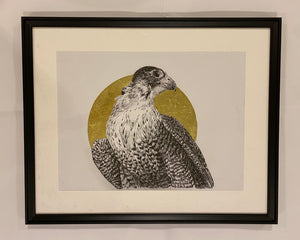 Falcon with gold